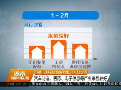 湖南1-2月规模工业增加值同比增长6.0% 呈低位开局