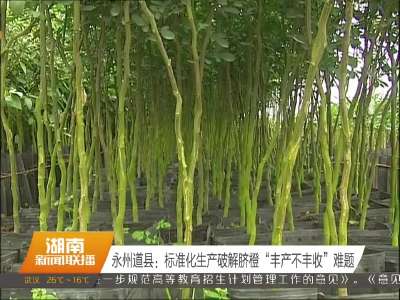 永州道县：标准化生产破解脐橙“丰产不丰收”难题