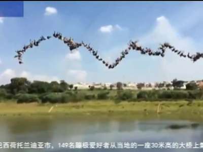 [视频]城会玩！巴西149名蹦极爱好者集体牵手跳桥