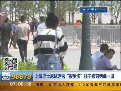 [视频]上海迪士尼试运营“很受伤” 柱子被刻到此一游
