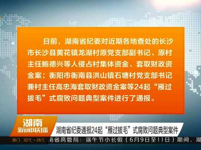 湖南省纪委通报24起“雁过拔毛”式腐败问题典型案件