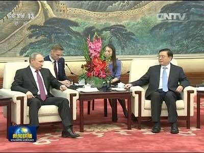 [视频]张德江会见俄罗斯总统
