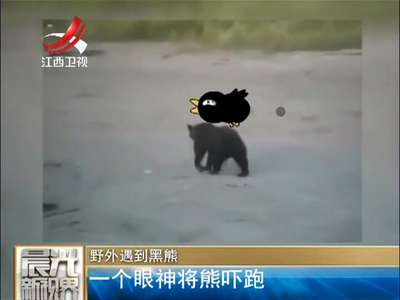 [视频]俄男子野外遇到黑熊 一个眼神将熊吓跑