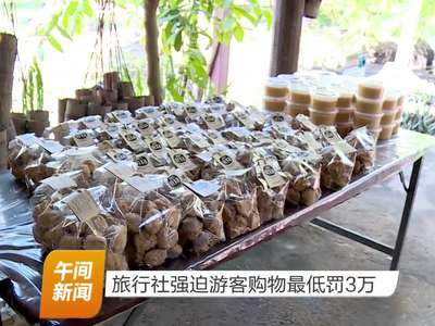 旅行社强迫游客购物最低罚3万