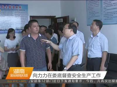 向力力在娄底督查安全生产工作