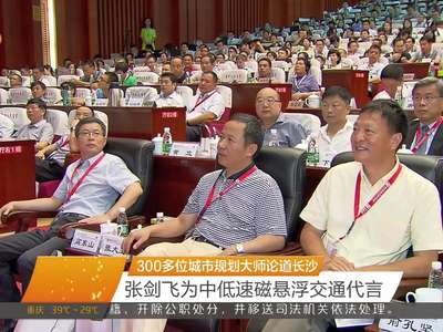 300多位城市规划大师论道长沙 张剑飞为中低速磁悬浮交通代言