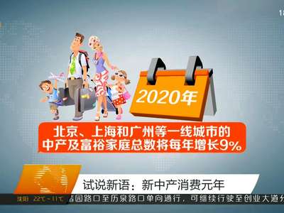 试说新语：新中产消费元年