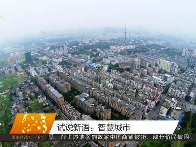 试说新语：智慧城市