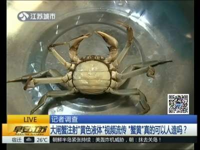 [视频]记者调查：大闸蟹注射“黄色液体”视频流传 “蟹黄”真的可以人造吗？