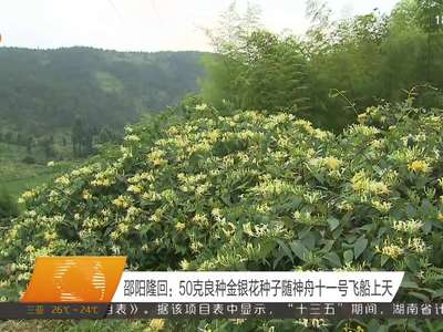 邵阳隆回：50克良种金银花种子随神舟十一号飞船上天