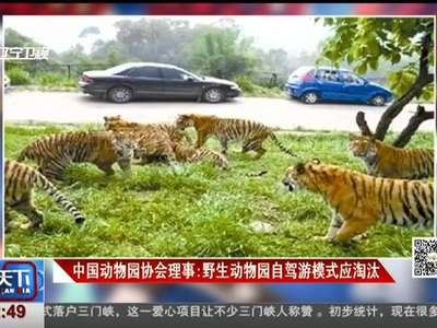 [视频]中国动物园协会理事：野生动物园自驾游模式应淘汰