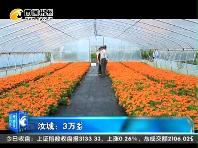 郴州：汝城3万盆“脱贫花”美丽上市