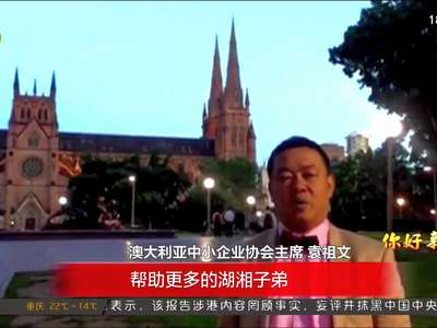 海外湖湘儿女热议党代会报告：为建设富饶美丽幸福新湖南贡献力量