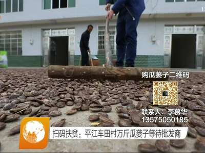 扫码扶贫：平江车田村万斤瓜蒌子等待批发商