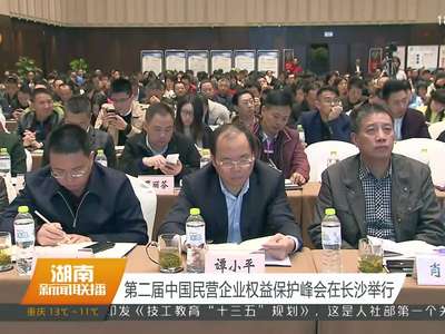 第二届中国民营企业权益保护峰会在长沙举行