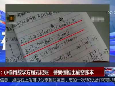 [视频]小偷用数学方程式记账 警察倒推出偷窃账本