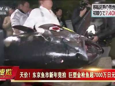 [视频]东京鱼市新年竞拍 巨型金枪鱼超7000万日元