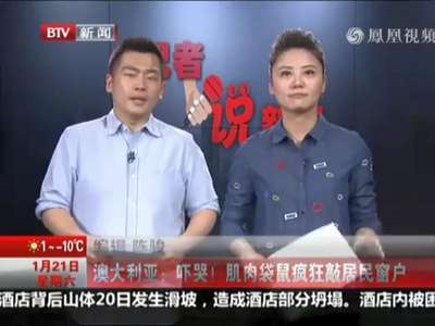 [视频]吓哭！肌肉袋鼠疯狂敲居民窗户