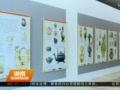 长沙博物馆举行“鸡年说鸡”展