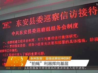 永州东安：县级巡察延伸到村 “拍蝇”利器挥向基层