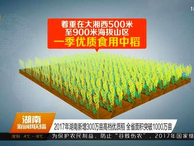 2017年湖南新增300万亩高档优质稻 全省面积突破1000万亩