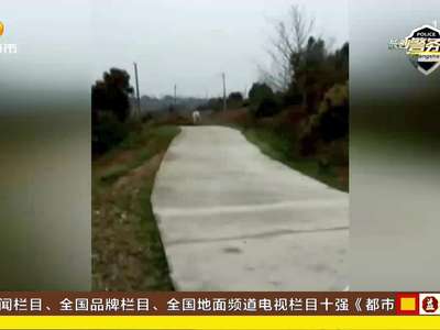 长沙捞刀河一疯牛袭人被民警击毙