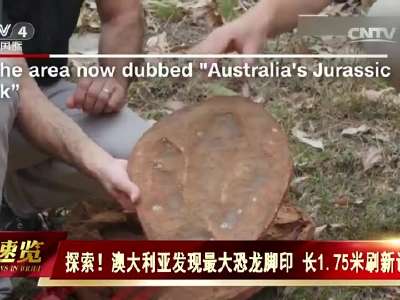 [视频]探索！澳大利亚发现最大恐龙脚印 长1.75米