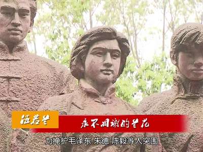 2017年04月04日湖南新闻联播