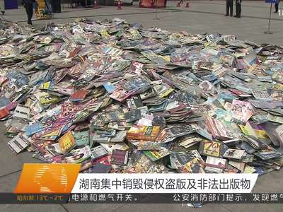湖南集中销毁侵权盗版及非法出版物