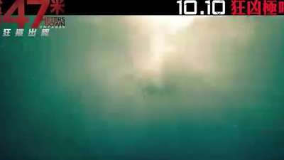 鲨海逃生 预告片1 (中文字幕)