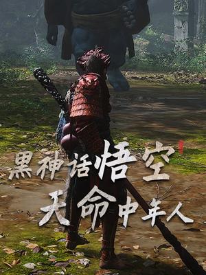 黑神话悟空 天命中年人