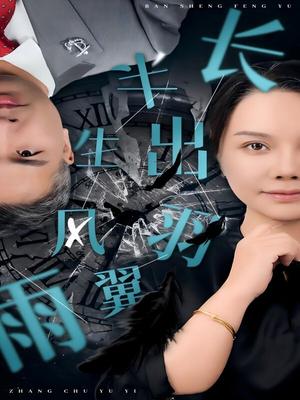 半生风雨长出羽翼