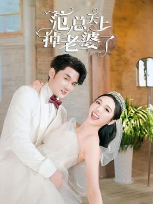 范总天上掉老婆了