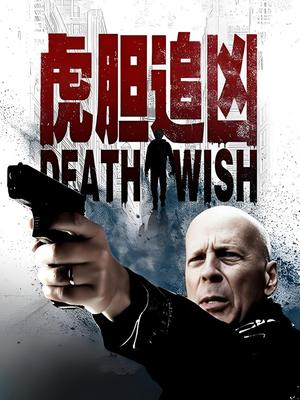 虎胆追凶 中文版