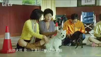 《我的狗狗我的爱》 主题曲MV《一生一世》