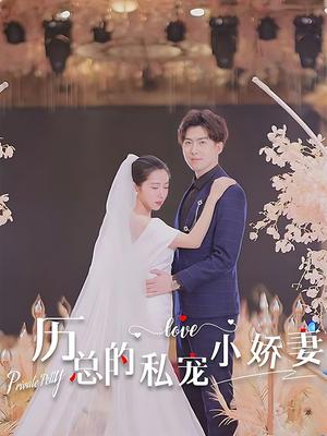 厉总的私宠小娇妻