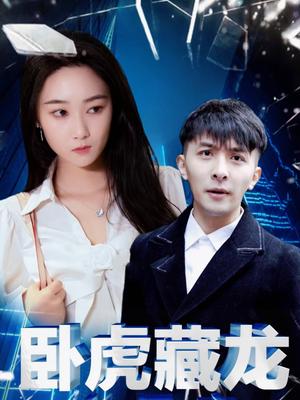 卧虎藏龙小保安