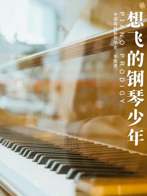 想飞的钢琴少年