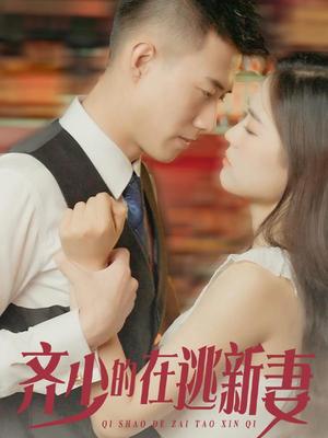 齐少的在逃新妻