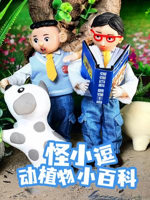 怪小逗动植物小百科