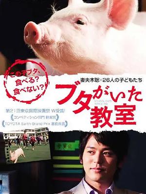 小猪教室
