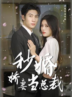 秒婚娇妻当总裁