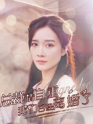 总裁请自重，我们已经离婚了