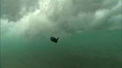 《在海里飞翔》 预告片