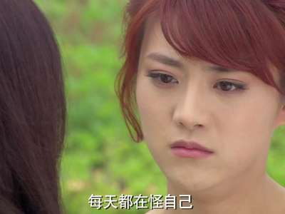 亲情保卫战分集剧情_电视剧亲情保卫战剧情分