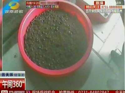 警惕昆虫养殖骗局！