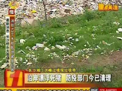 长沙湘江洪峰过境现垃圾带