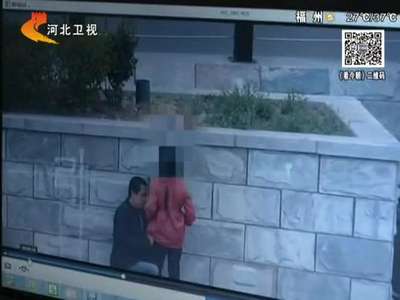 [视频]摄影爱好者无意拍到男子猥亵8岁女童画面