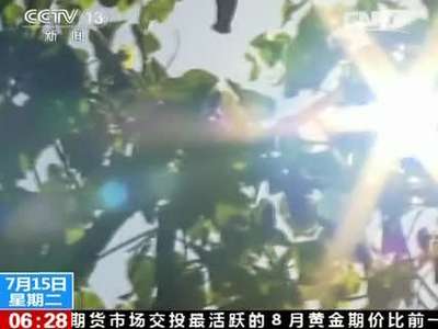 [视频]我国多地持续高温天气