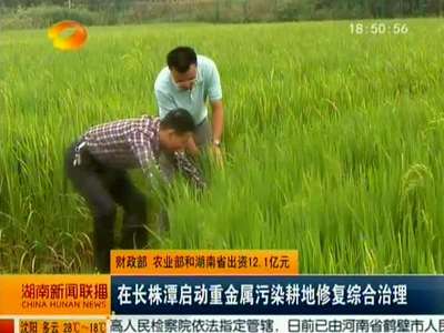 财政部农业部和湖南省出资12.1亿元 在长株潭启动重金属污染耕地修复综合治理